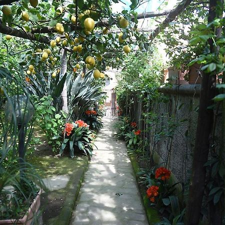 Bed and Breakfast Anthea Sorrent Exterior foto